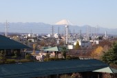 社会福祉法人　浴風会　養護老人ホーム　浴風園の写真2